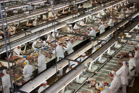 Imagem 648 no node 2063