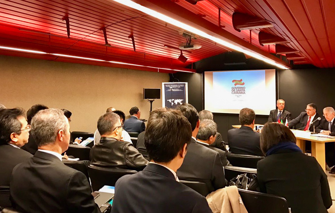 Imagem 3611 no node 5709