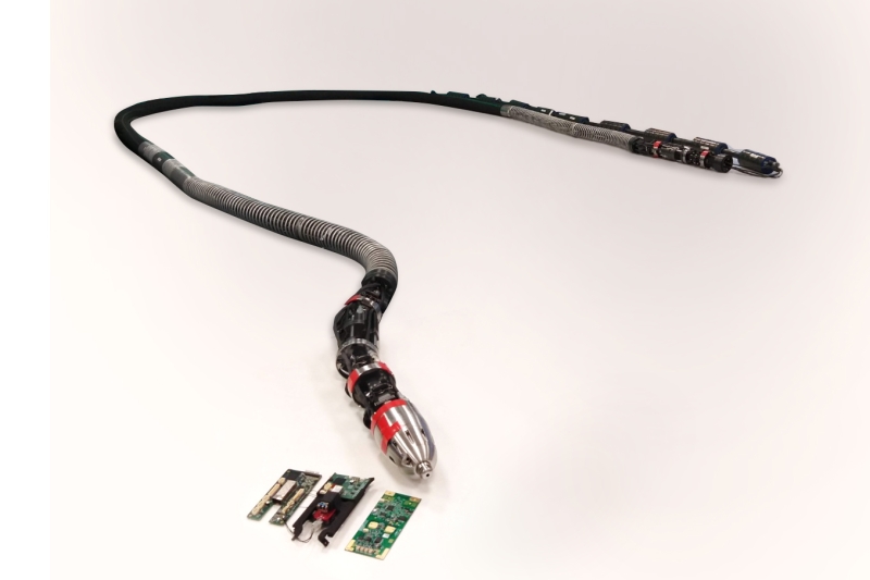 Inovação se inspira no biomimetismo, ou seja, a imitação da vida (foto: divulgação)